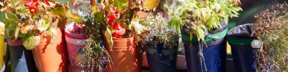 Mitwirkung in den Kindertagesstätten